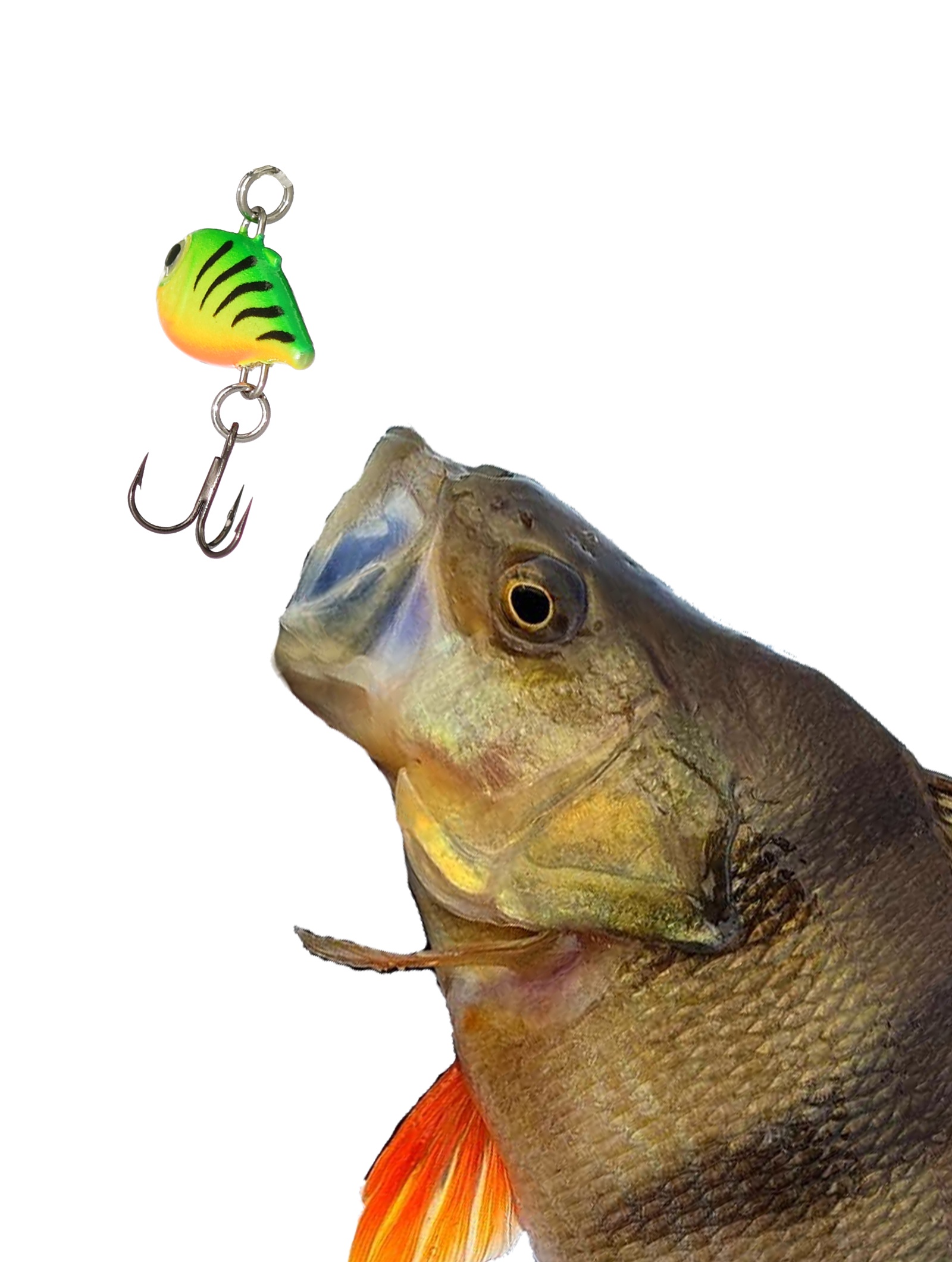 NR02-GT Nano Rap - фото2