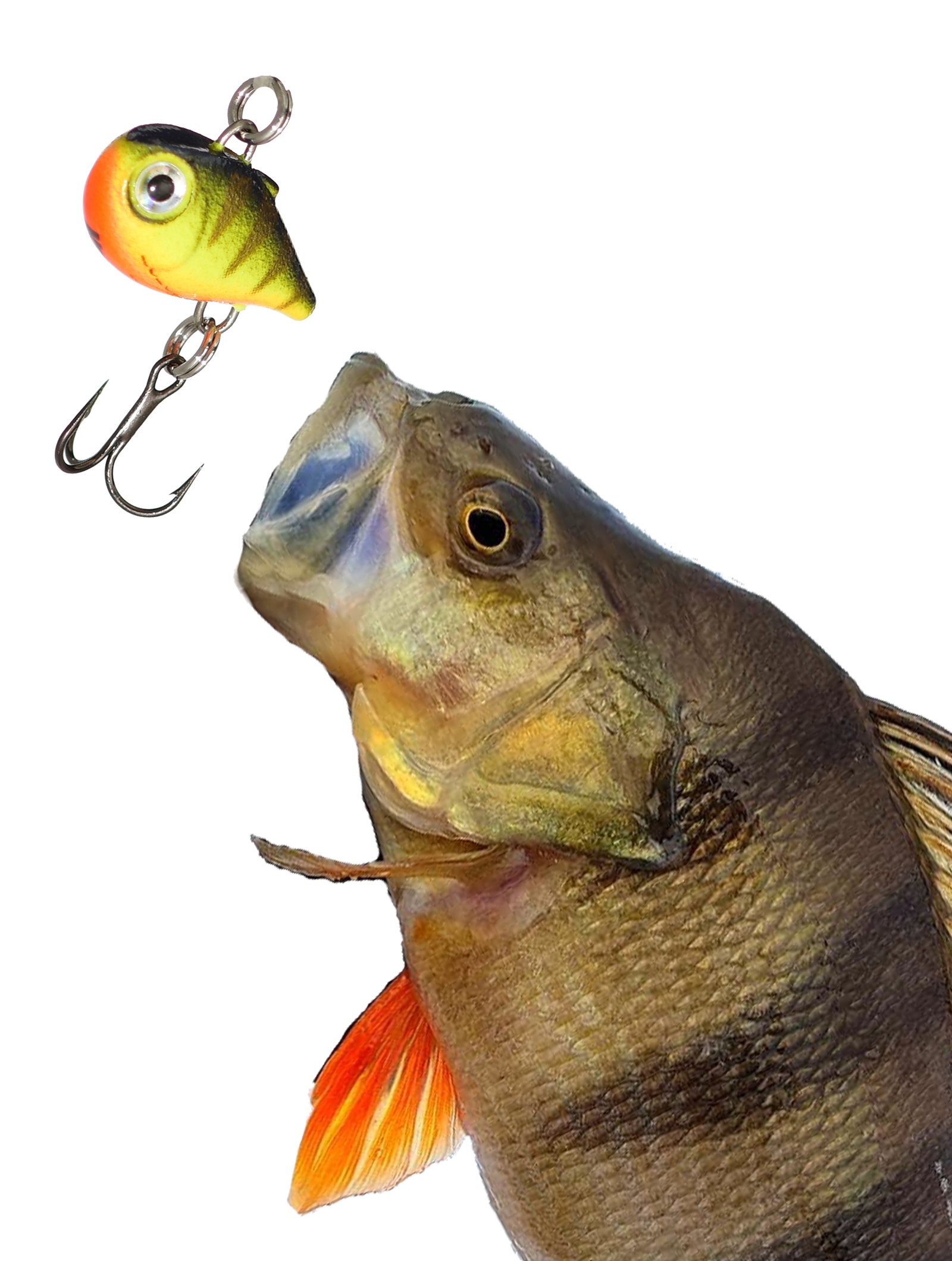 NR02-GHP Nano Rap - фото2