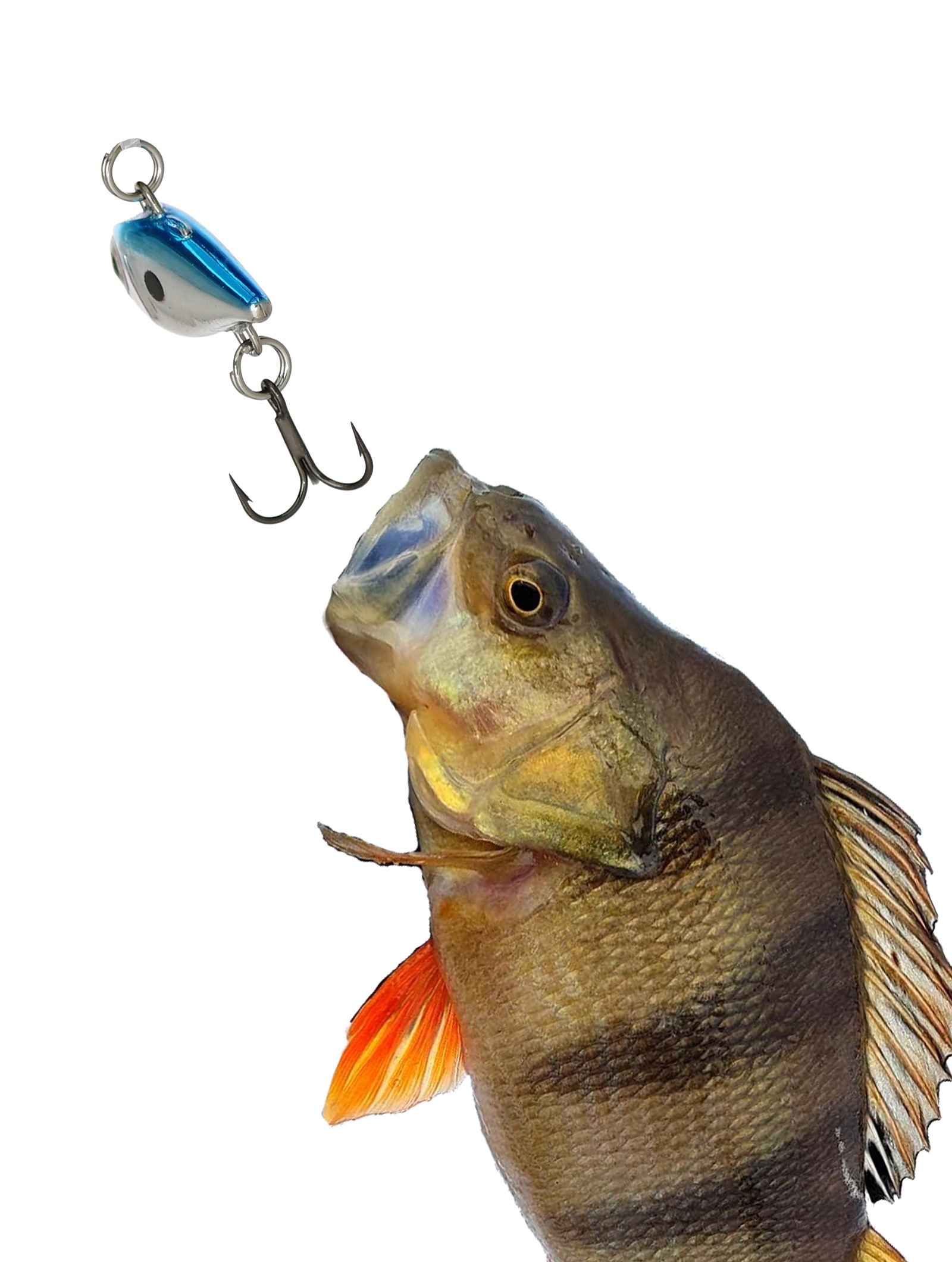 NR02-CHB Nano Rap - фото2