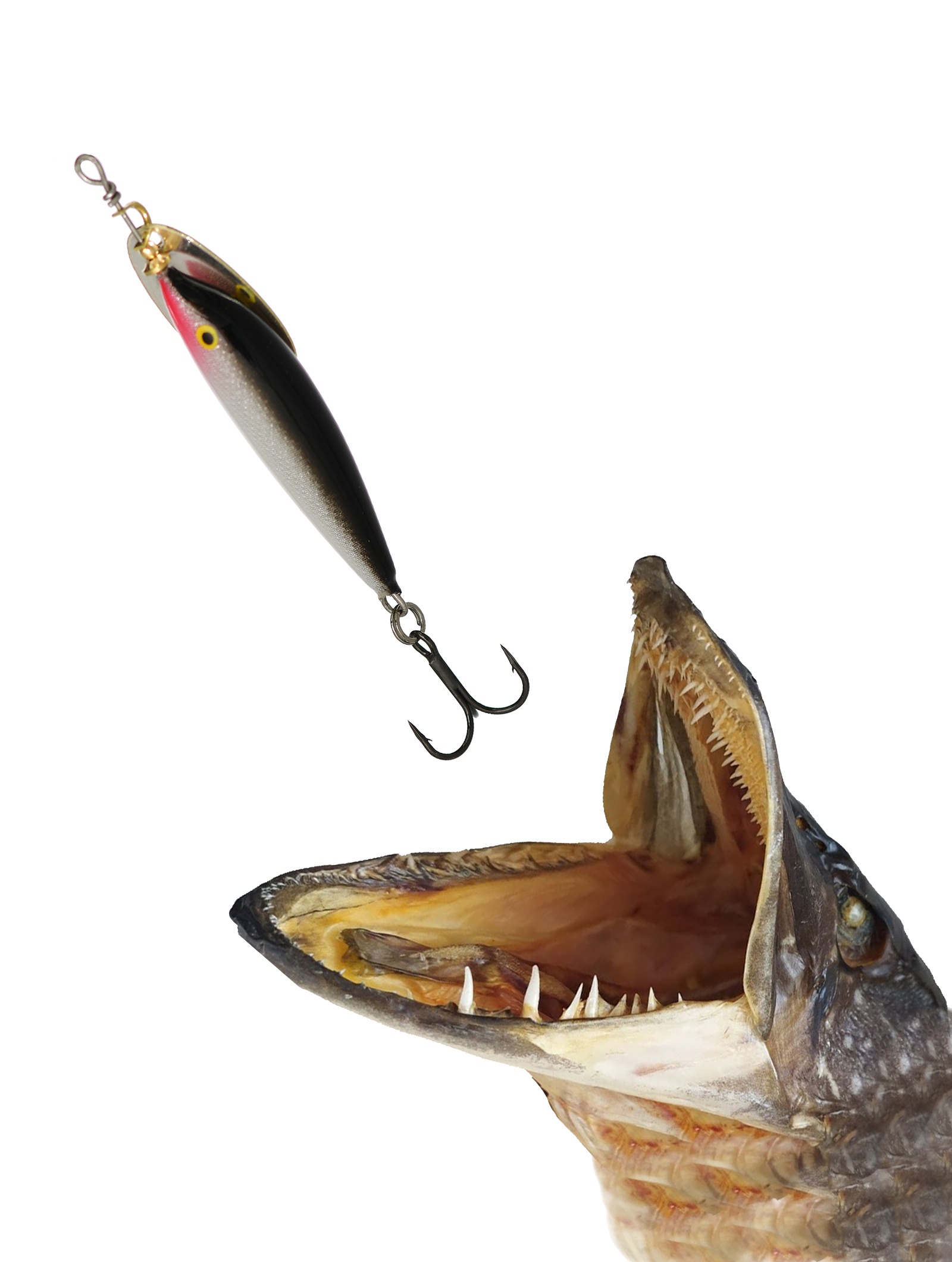 VMS5-S Vibrax Minnow Spin - фото2