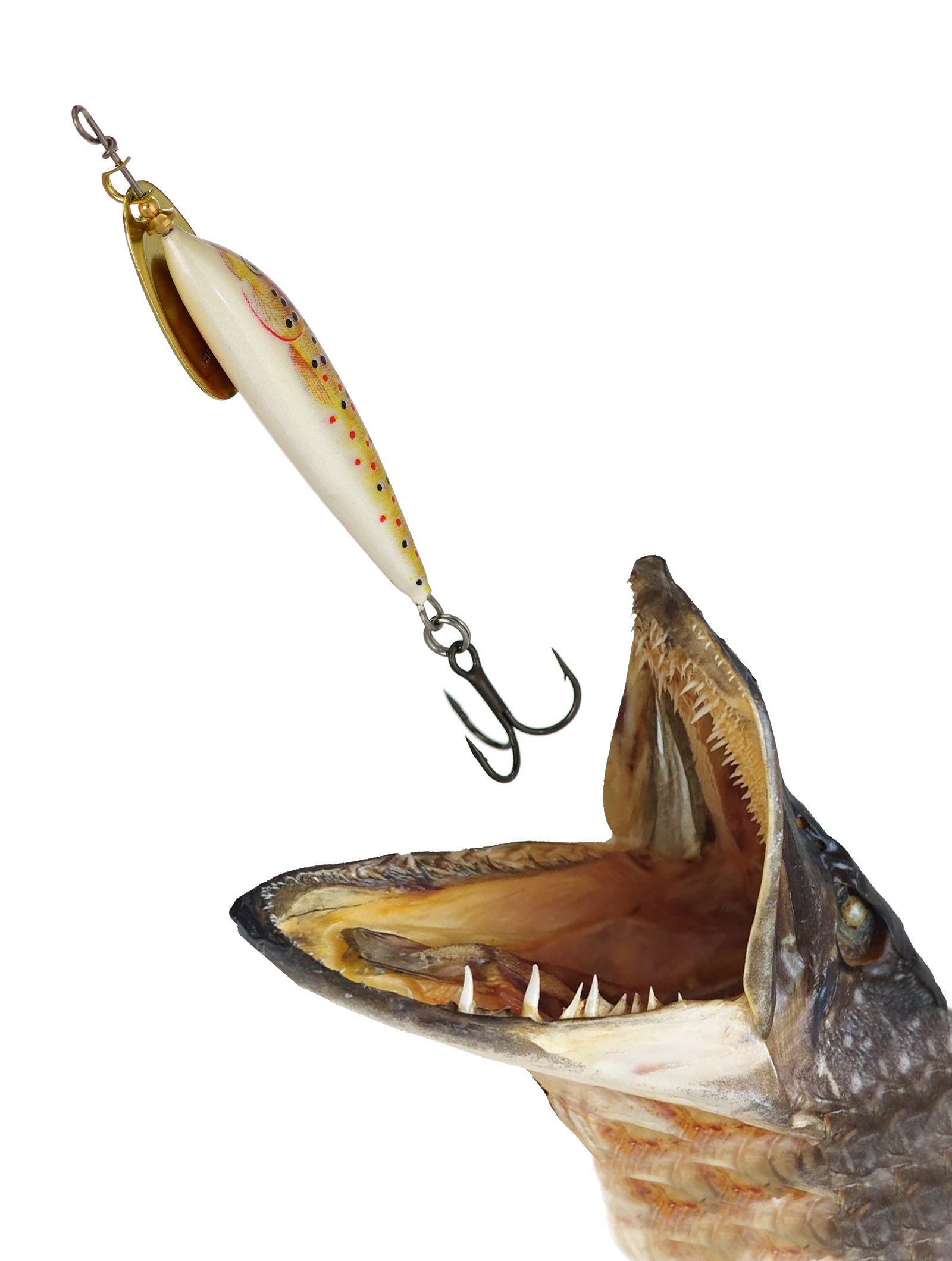 VMS3-TR Vibrax Minnow Spin - фото2