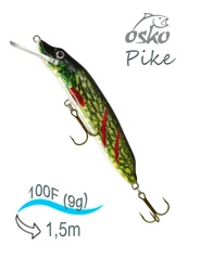 OFP10-42 Pike - фото