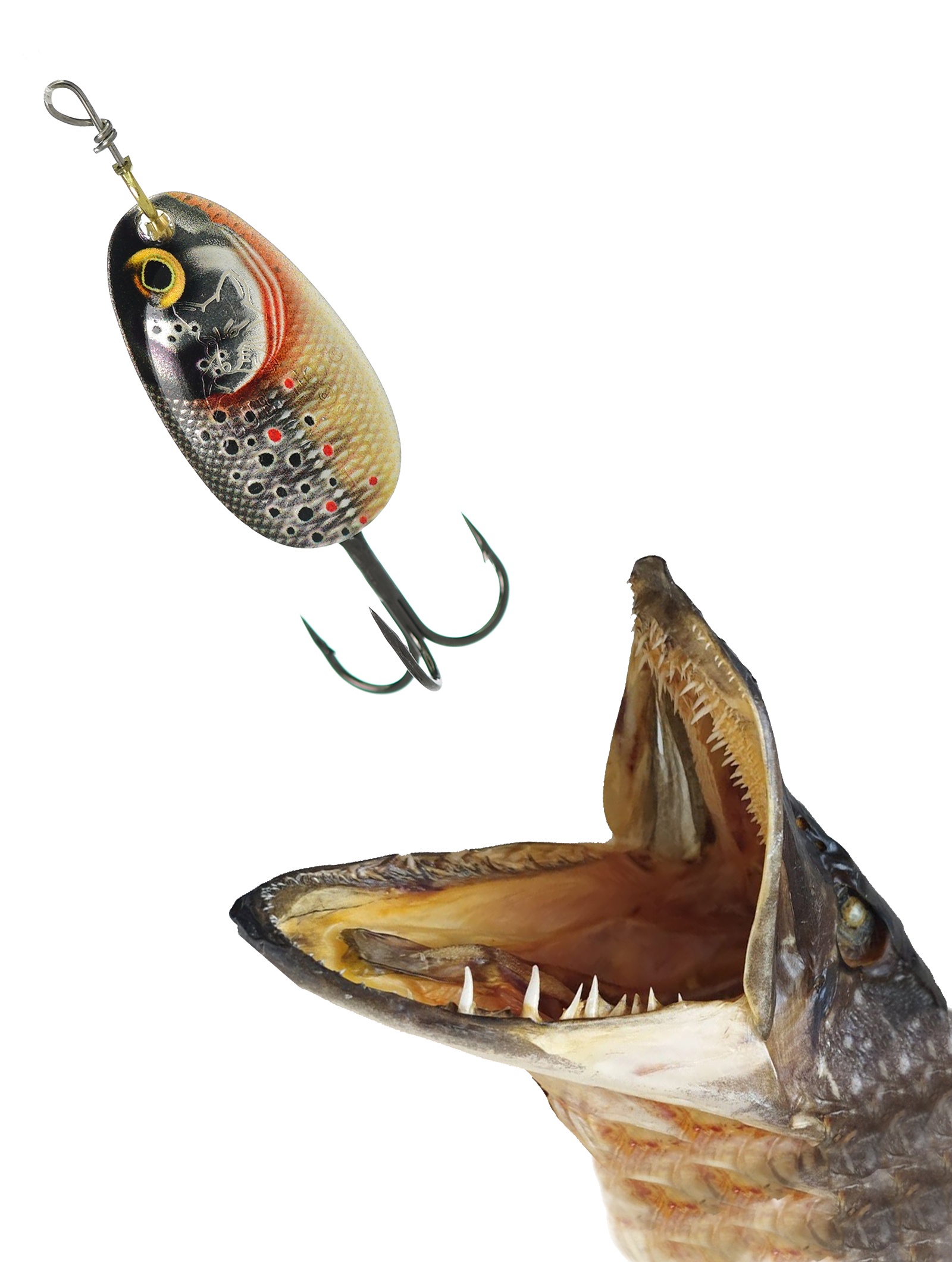 BFGD4-GDBT Vibrax Gilded - фото3