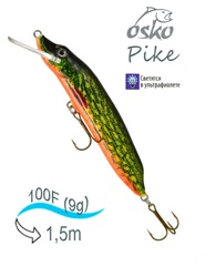OFP10-43 Pike - фото