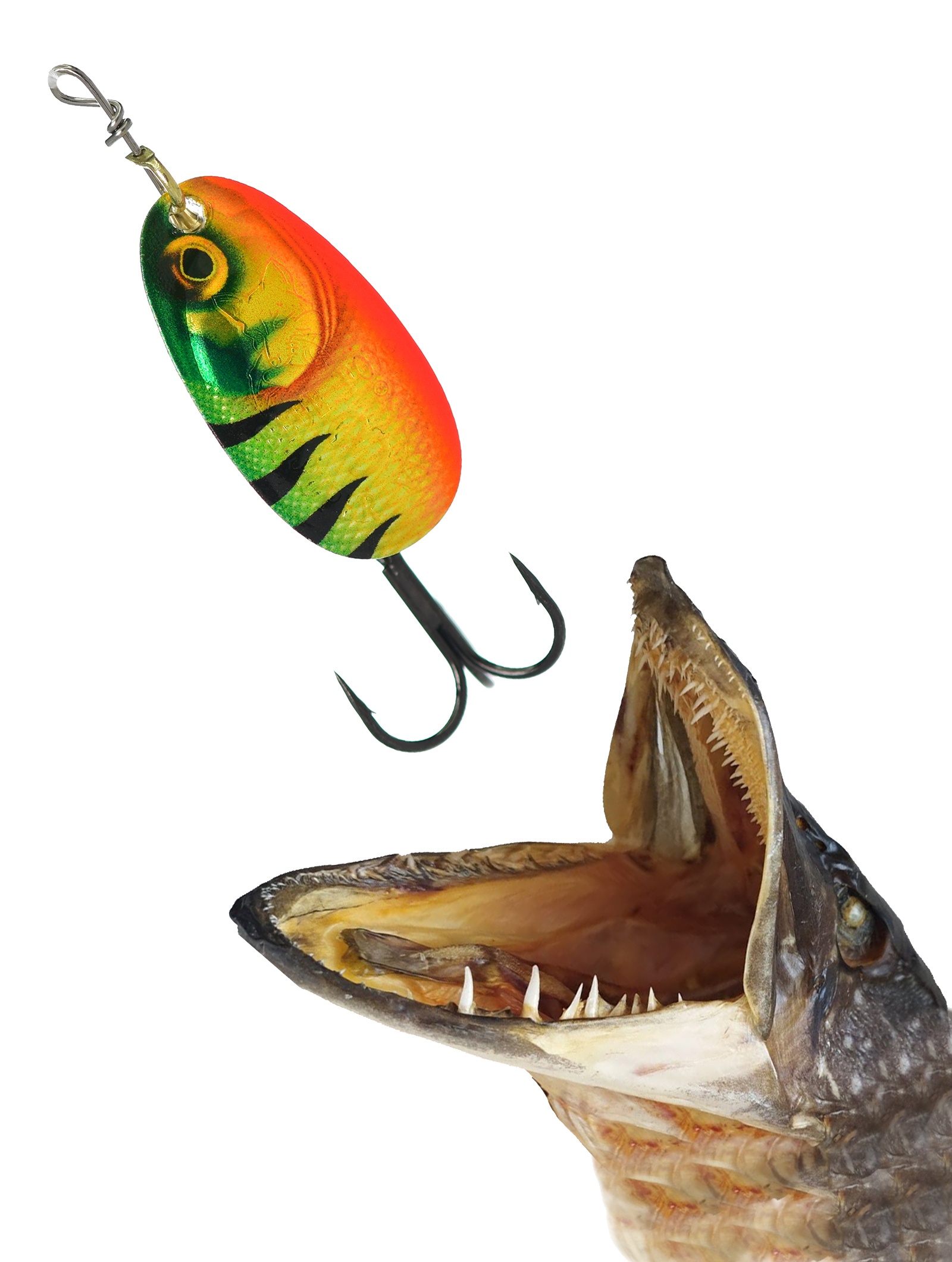 BFGD5-GDFT Vibrax Gilded - фото2