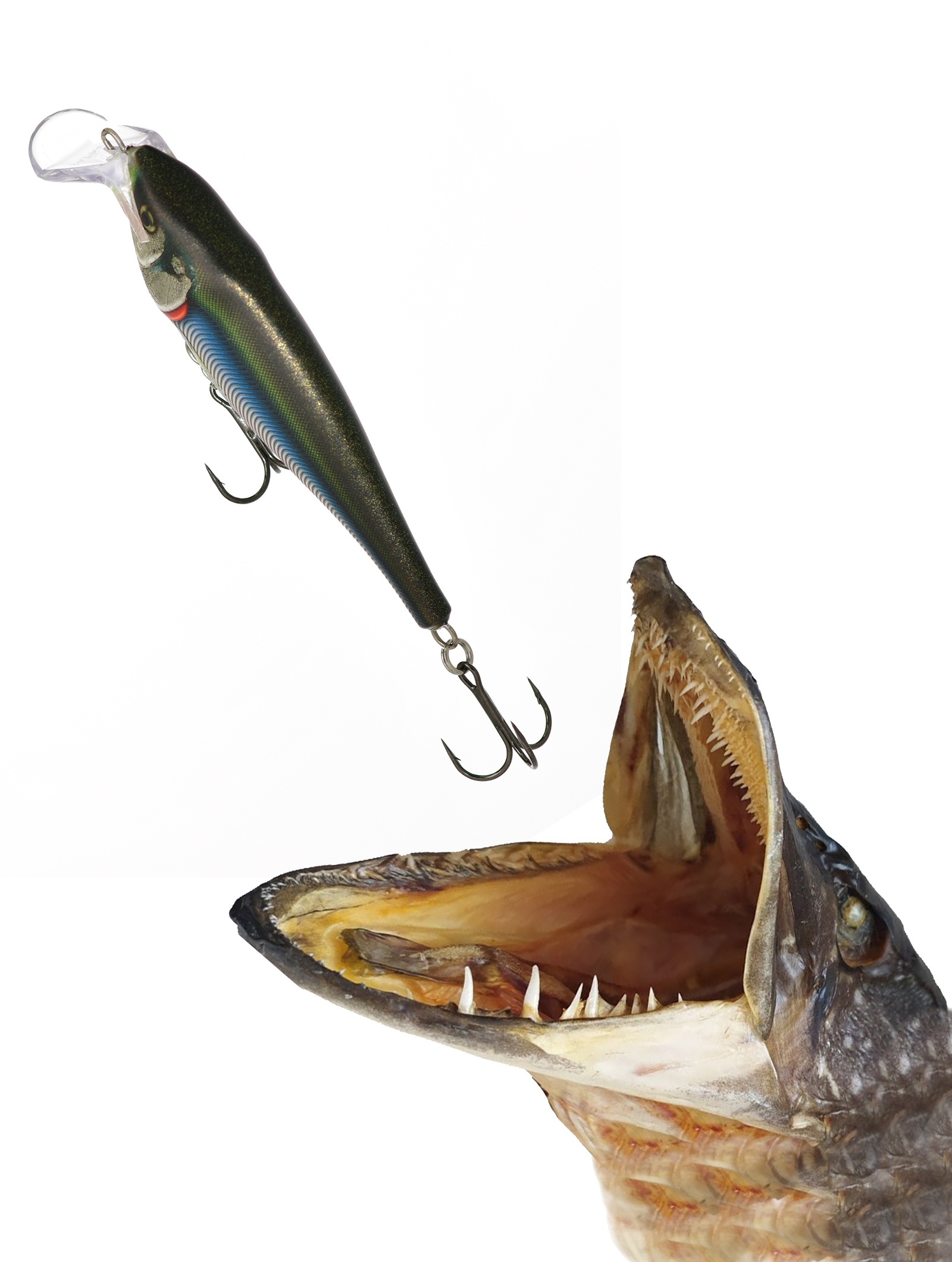 SSR14 RSML Super Shad Rap - фото2