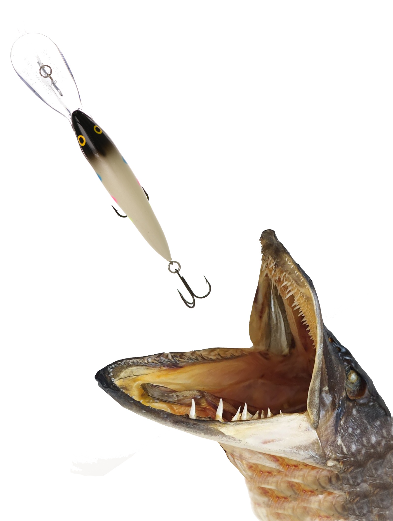 TDD11 BWB Tail Dancer Deep - фото2