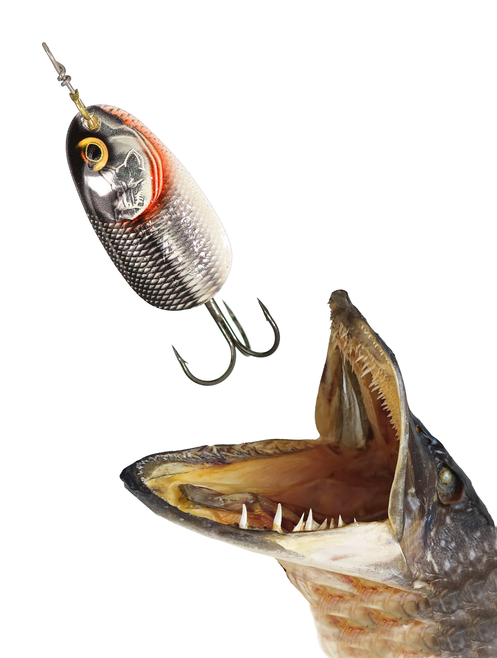 BFGD4-GDS Vibrax Gilded  - фото2