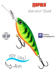 HVSD07-FT Harvest Shad - фото