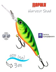 HVSD05-FT Harvest Shad - фото