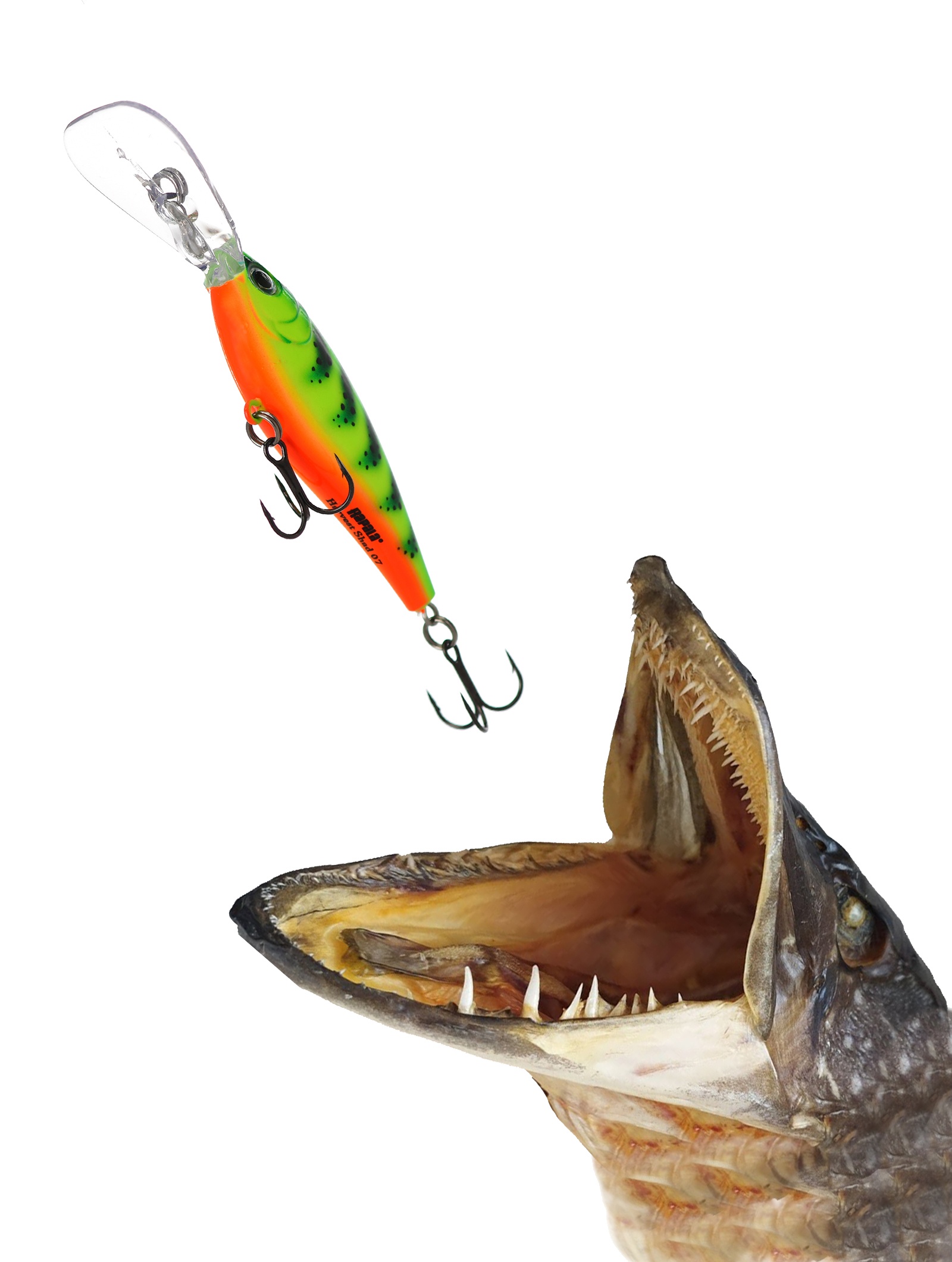 HVSD05-FT Harvest Shad - фото3