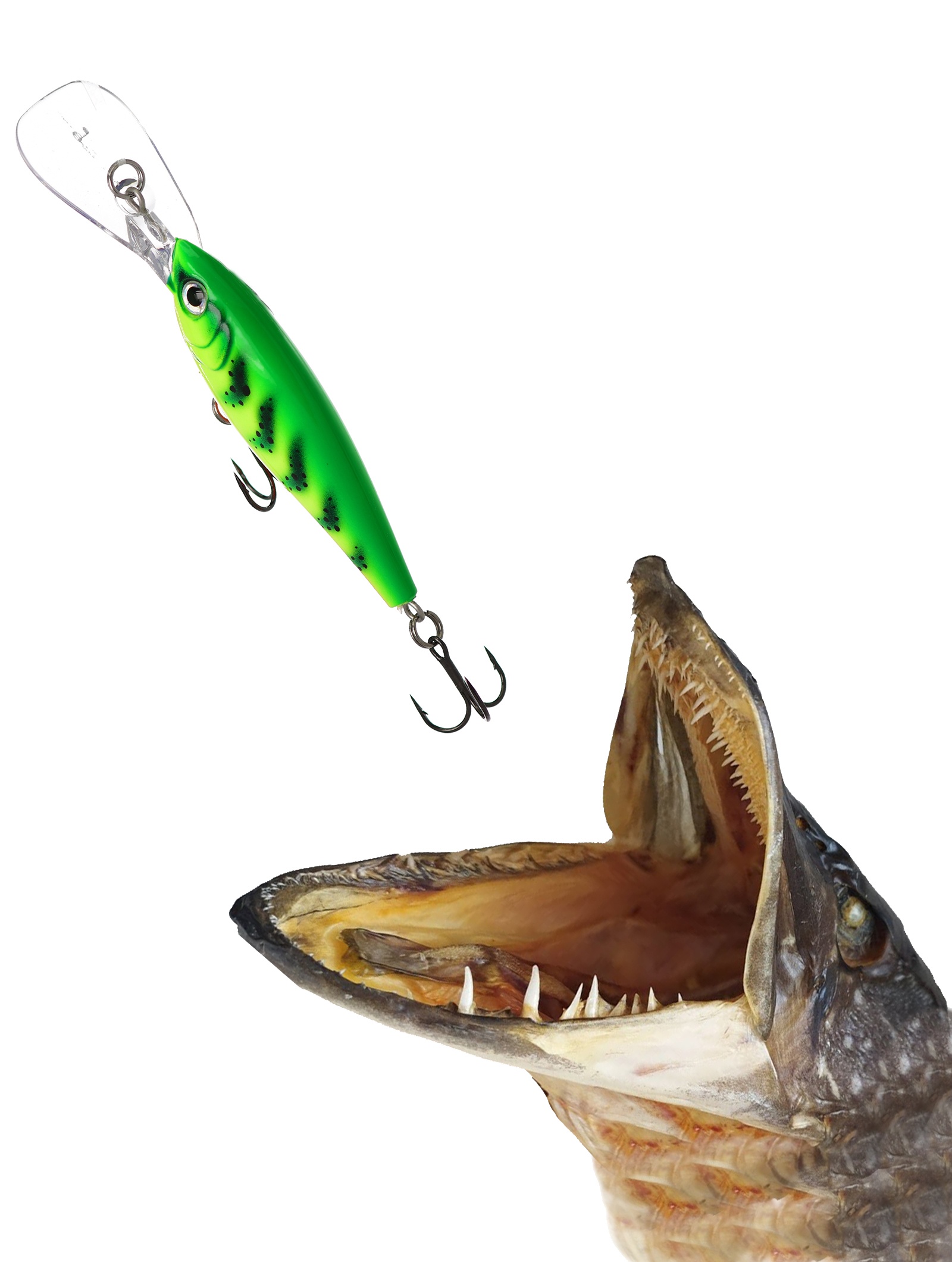 HVSD05-FT Harvest Shad - фото2