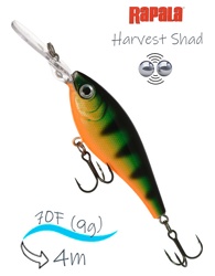 HVSD07-P Harvest Shad - фото