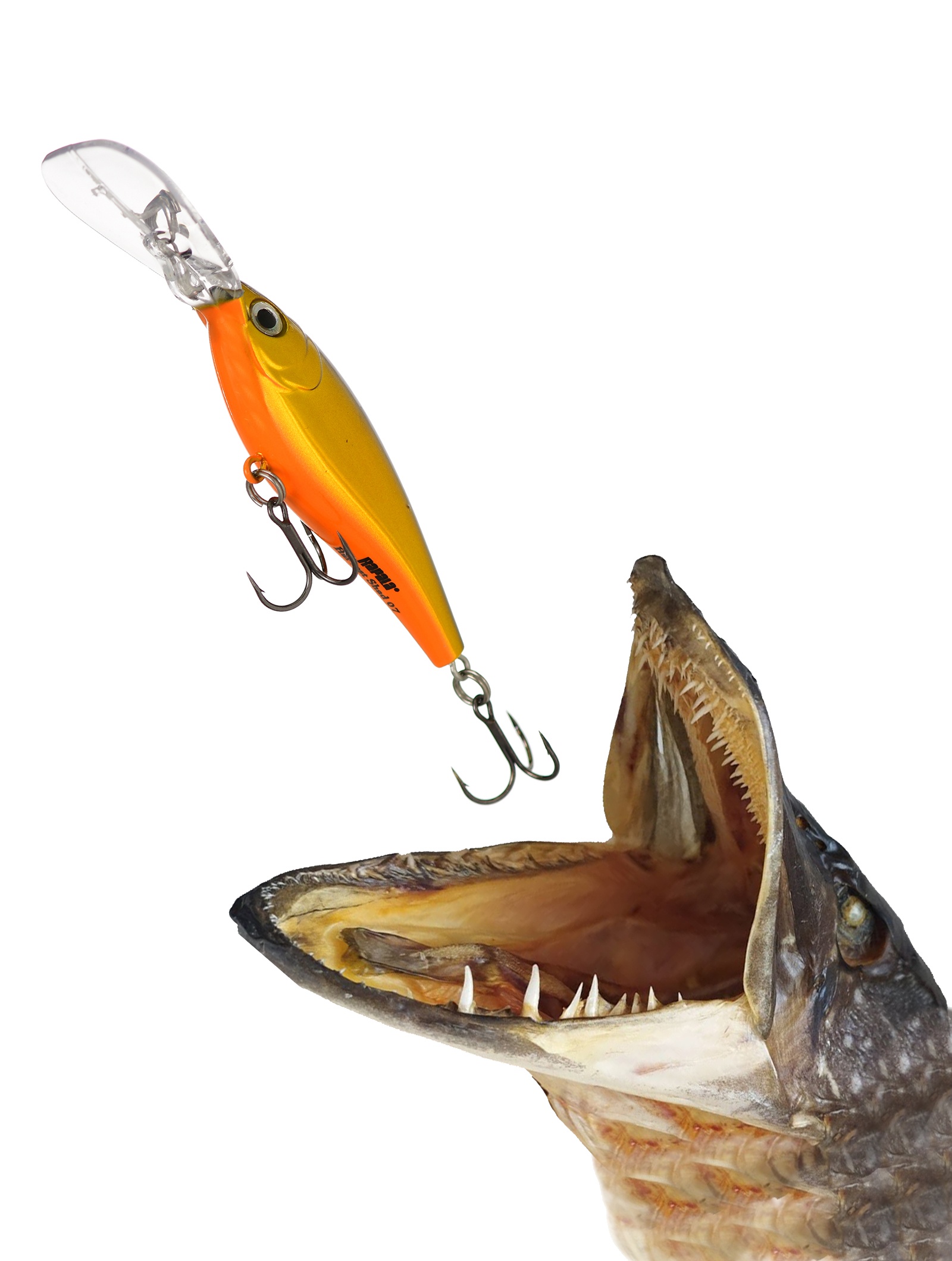 HVSD05-G Harvest Shad - фото2