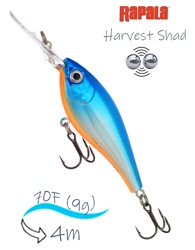 HVSD07-SB Harvest Shad - фото