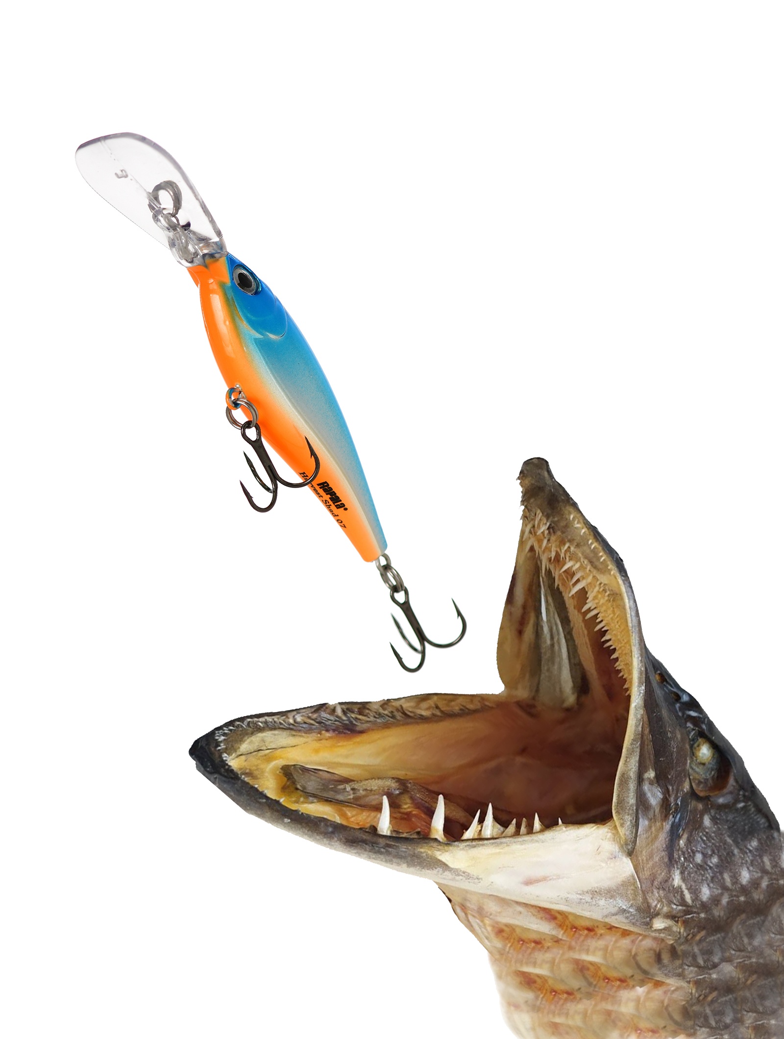 HVSD05-SB Harvest Shad - фото2