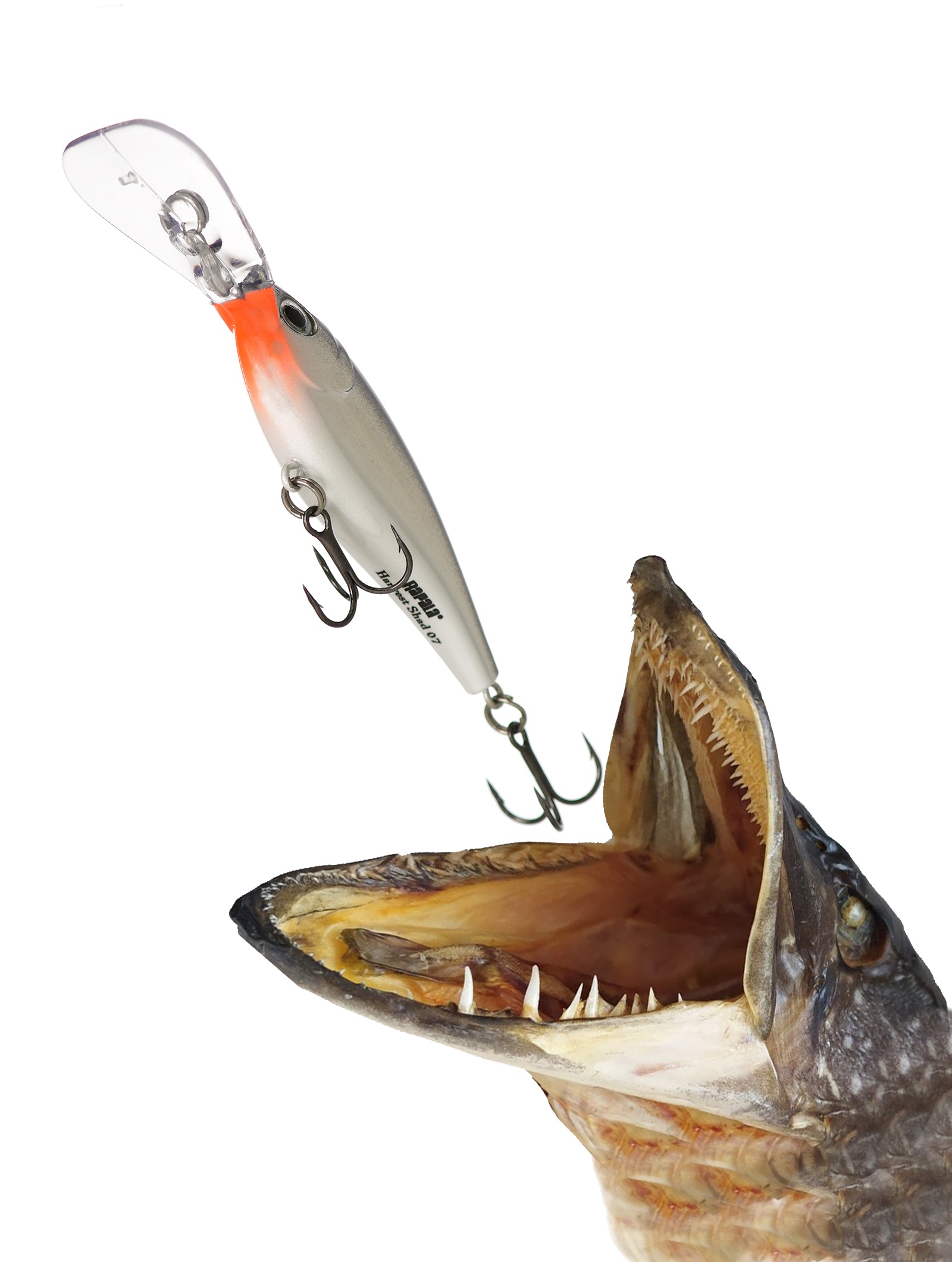 HVSD05-S Harvest Shad - фото2