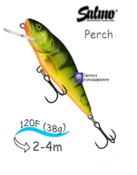 QPH023 Perch PH-120FL-HPH - фото