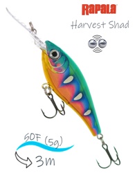 HVSD05-SPSH Harvest Shad - фото