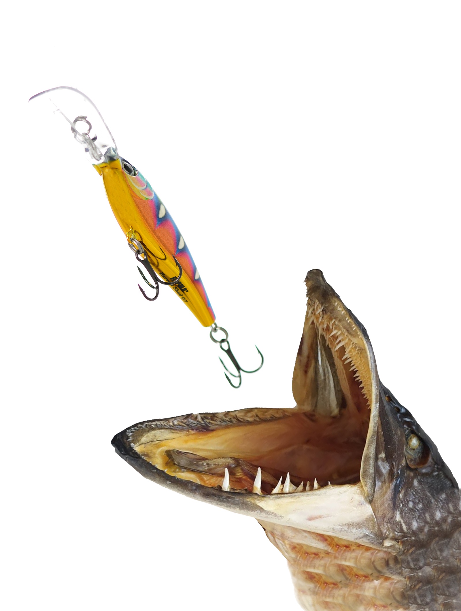 HVSD05-SPSH Harvest Shad - фото2