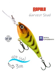 HVSD05-WS Harvest Shad - фото