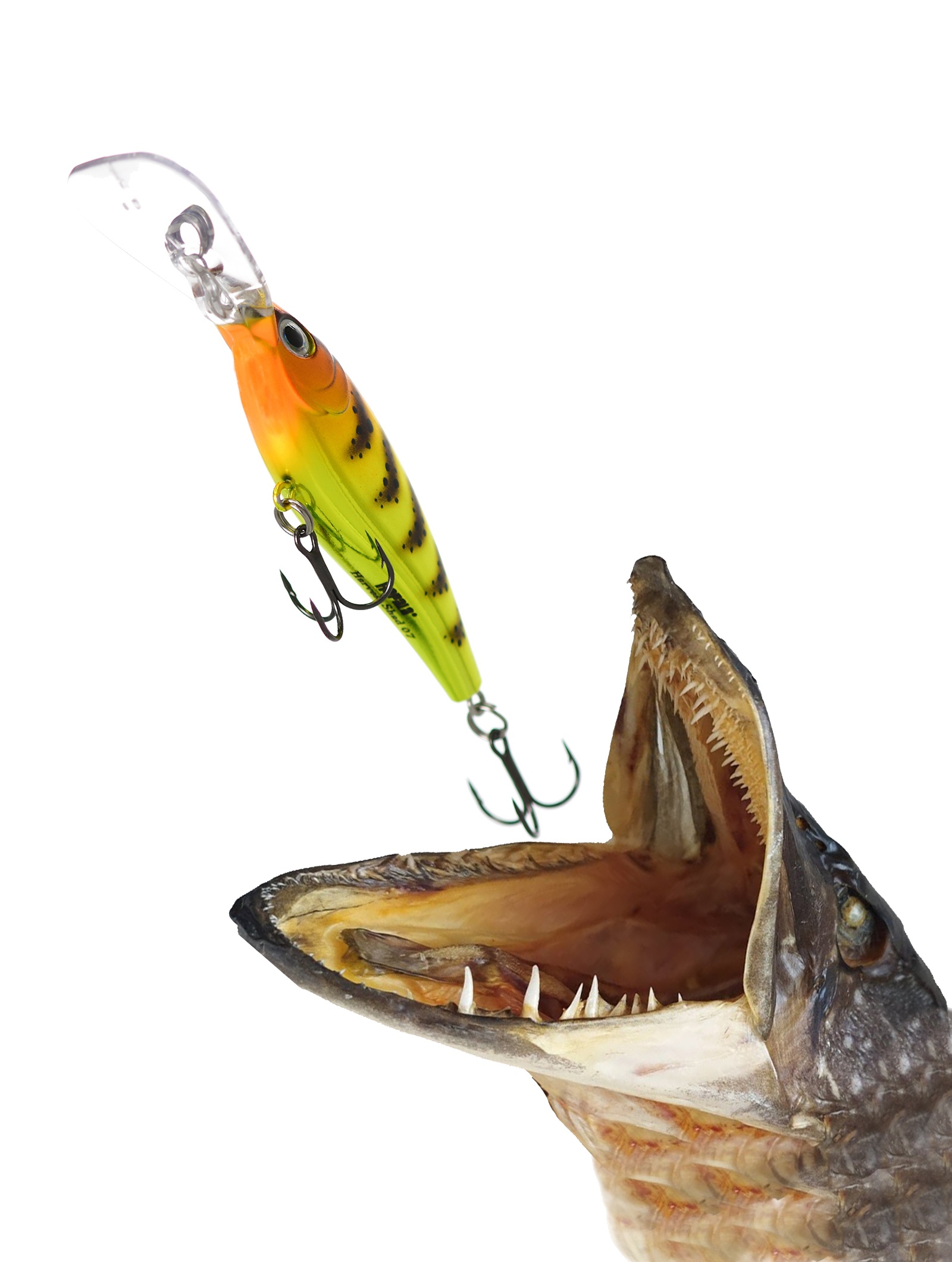 HVSD05-WS Harvest Shad - фото2