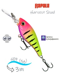 HVSD05-HSP Harvest Shad - фото