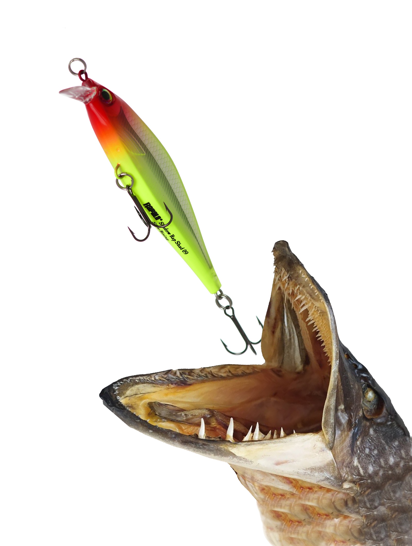 SDRS09 CLN Shadow Rap Shad - фото2