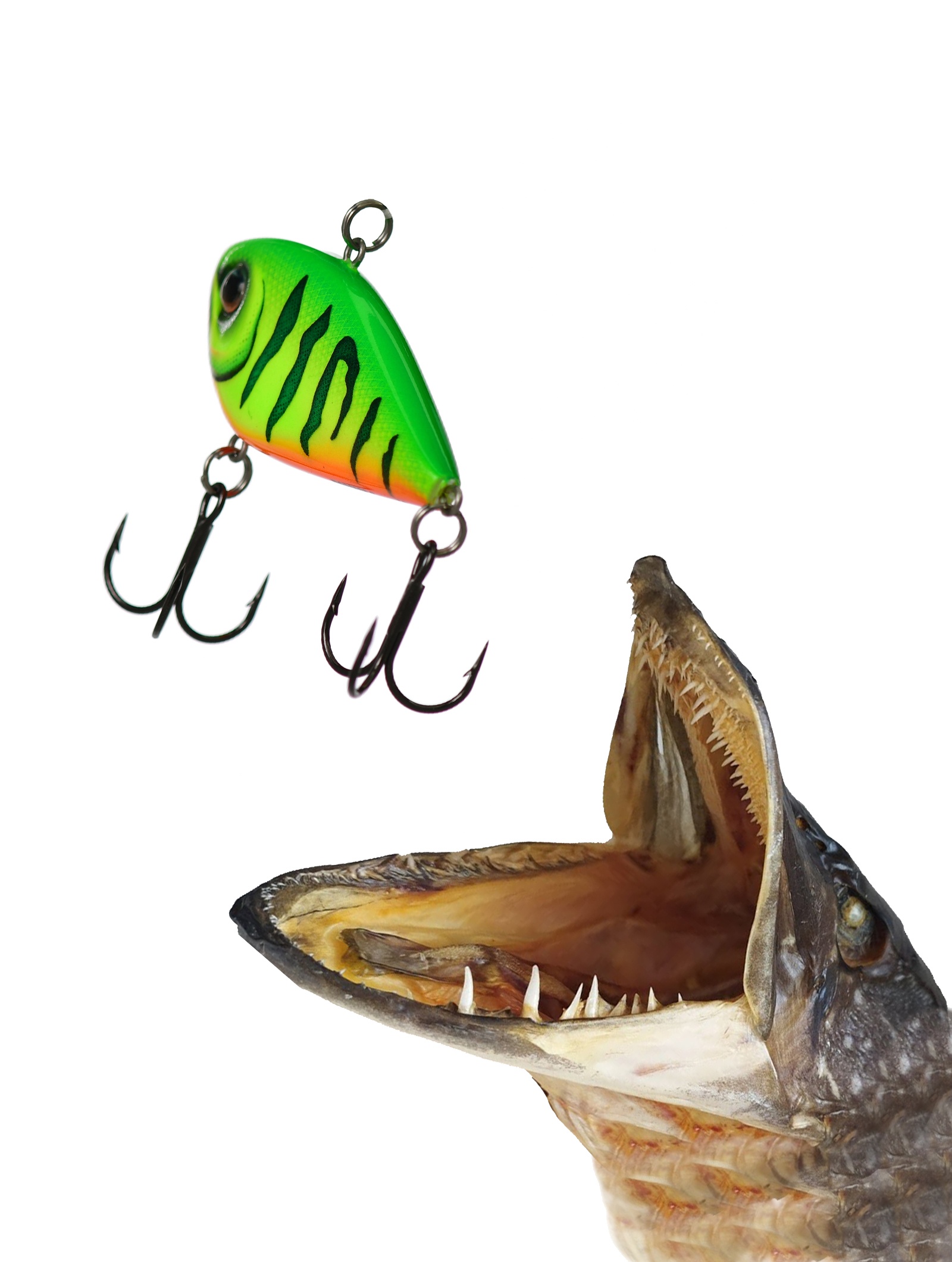 SN50-FT Snare - фото2