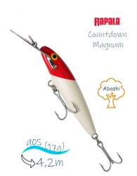 CDMAG09 RH CountDown Magnum - фото