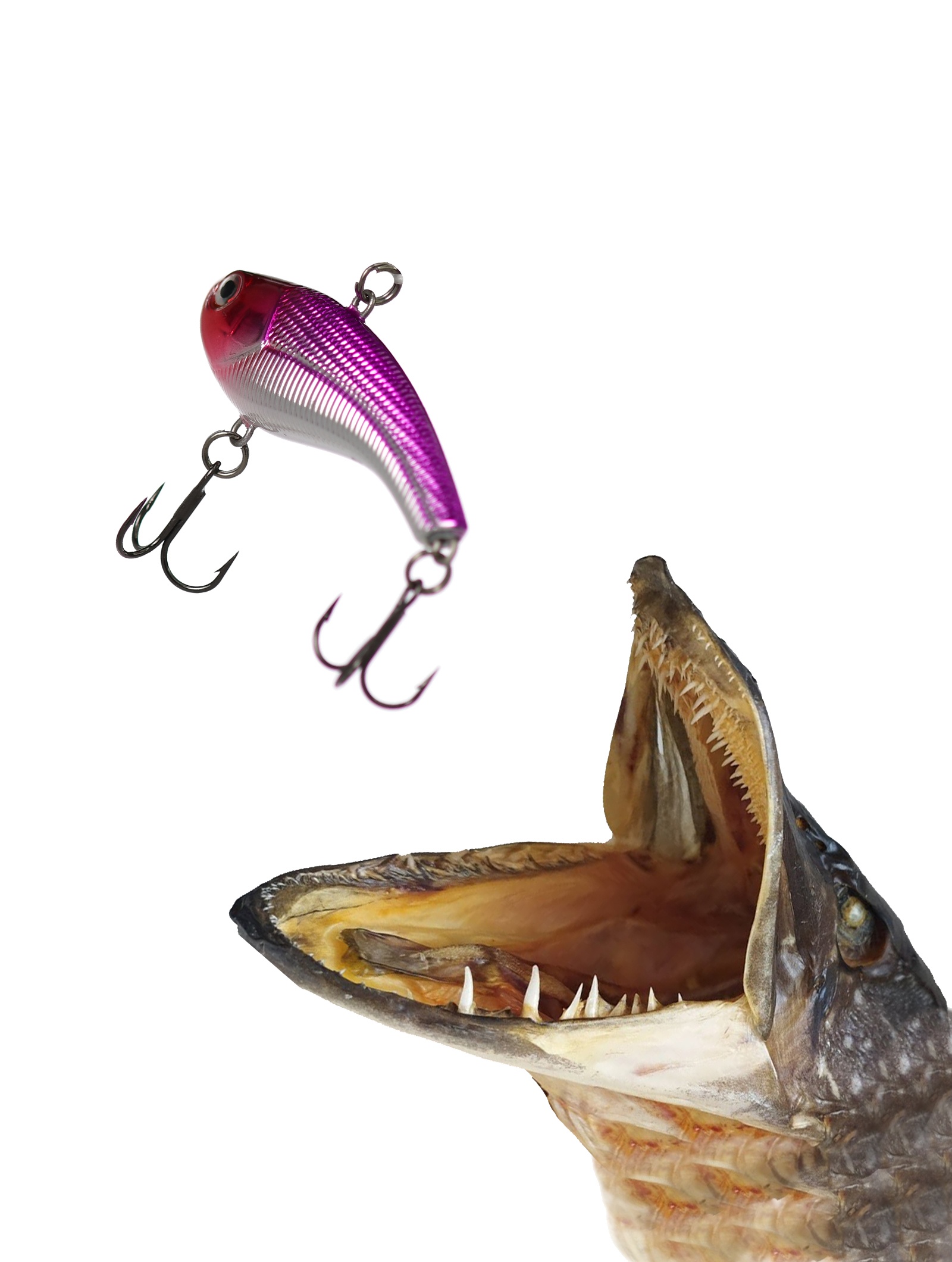 SLR06-PRCL Slab Rap - фото2