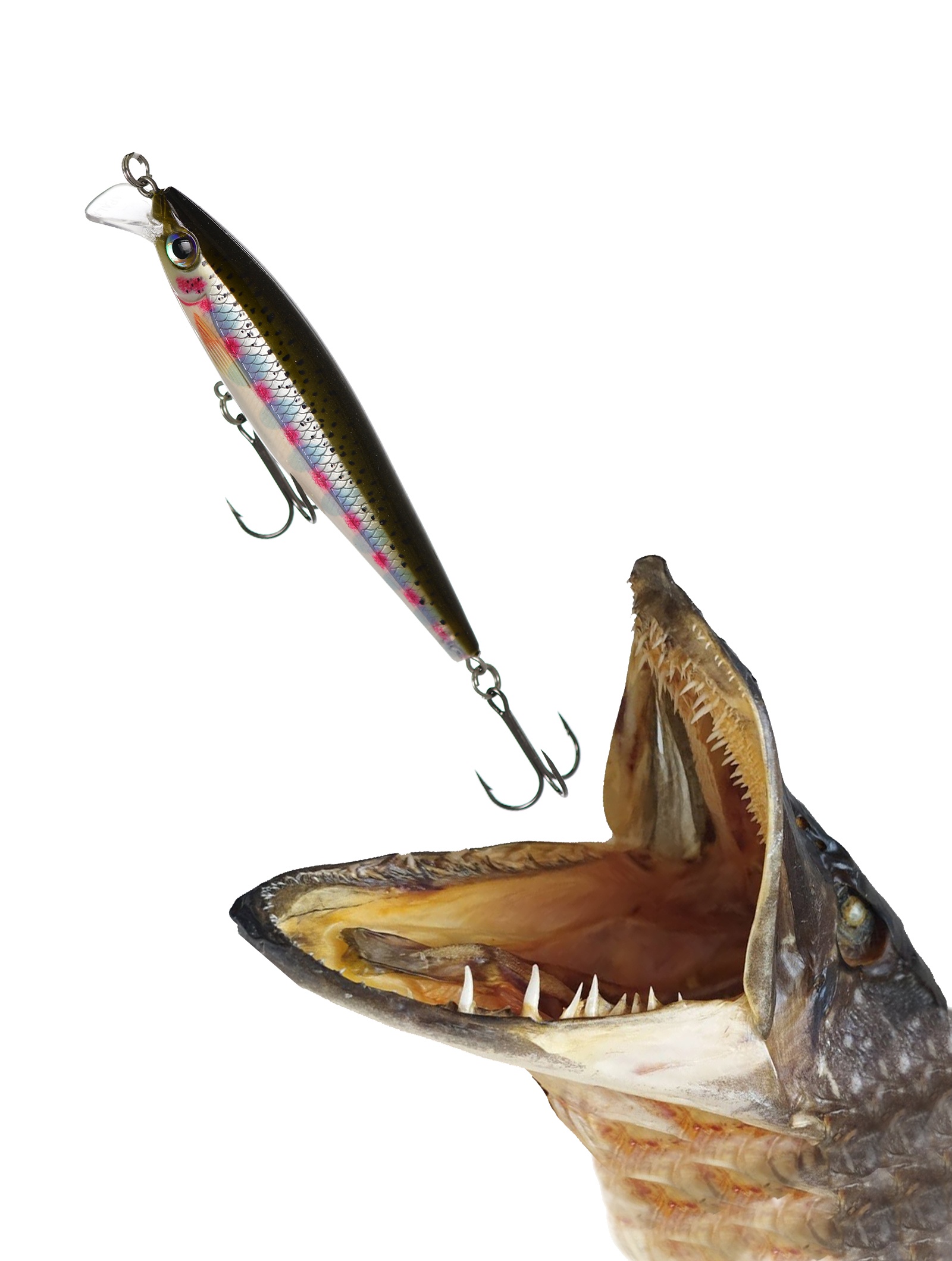 BXM10-RT BX Minnow - фото2