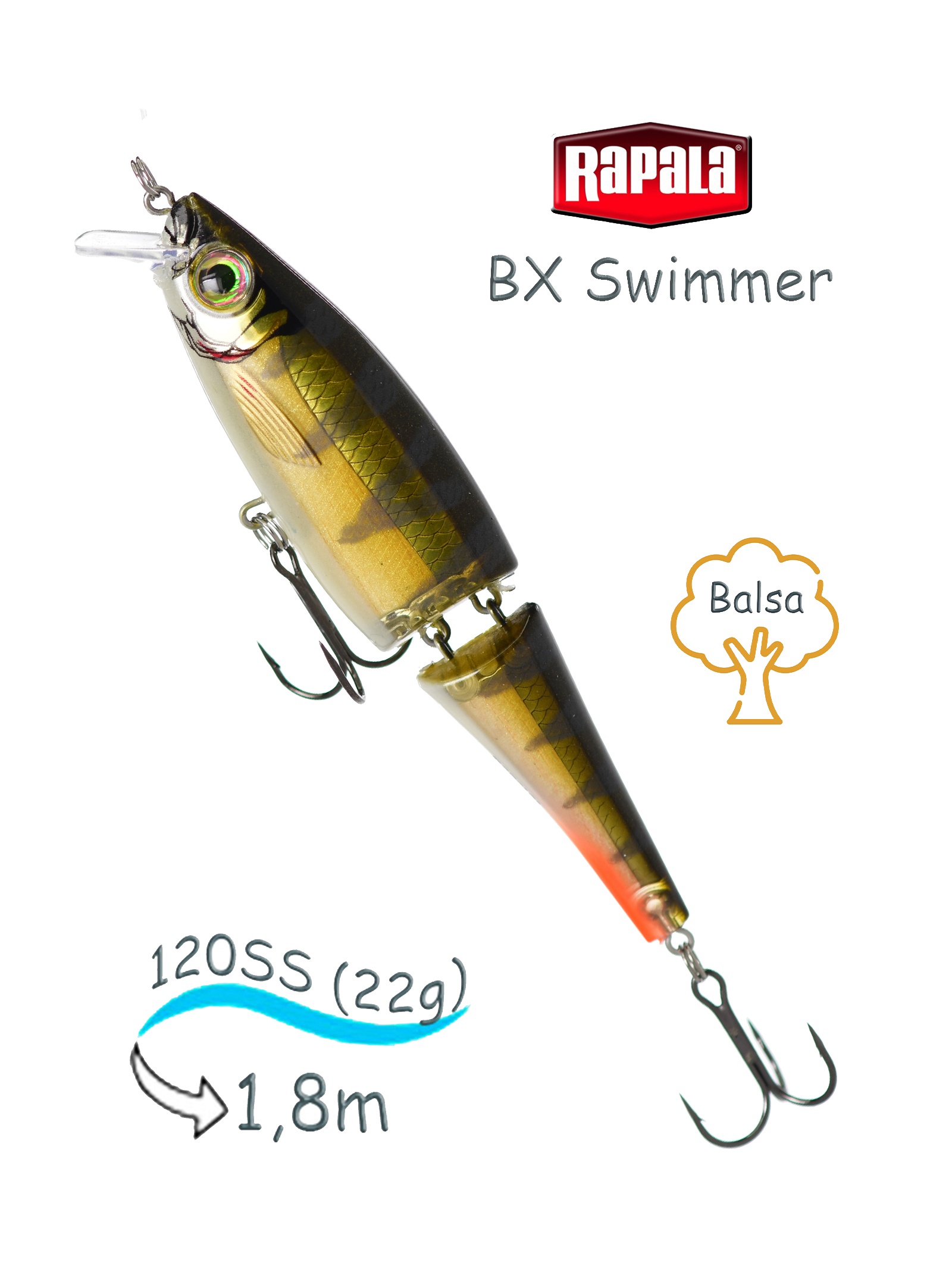 BXS12 RFP Swimmer BX - фото