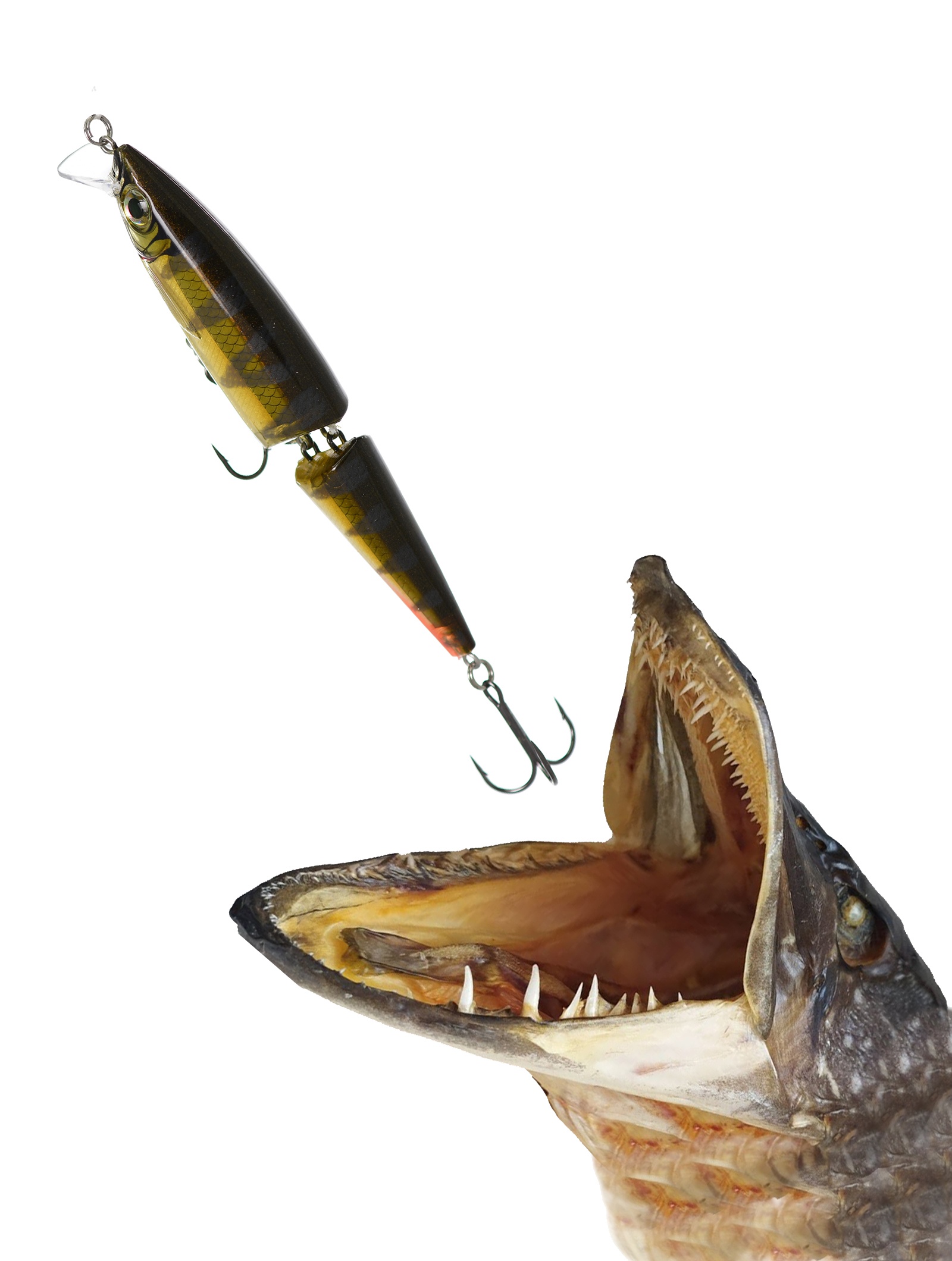 BXS12 RFP Swimmer BX - фото2