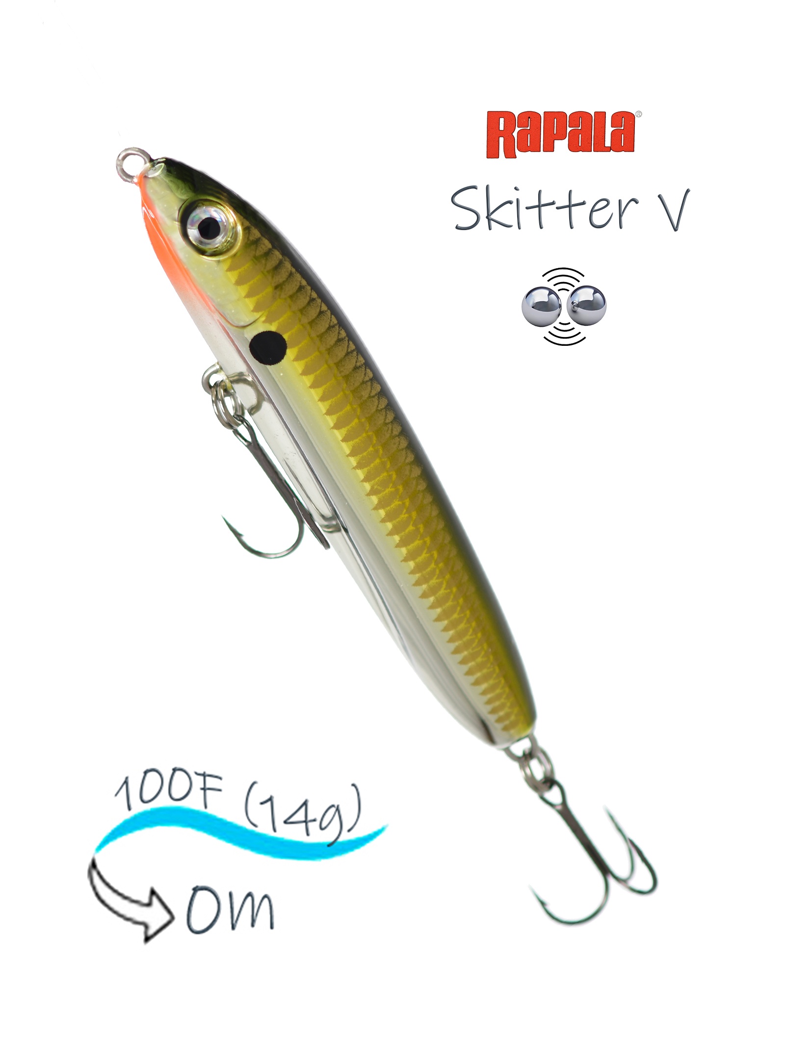 SKV10-GCH Skitter V - фото