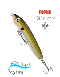 SKV10-GCH Skitter V - фото