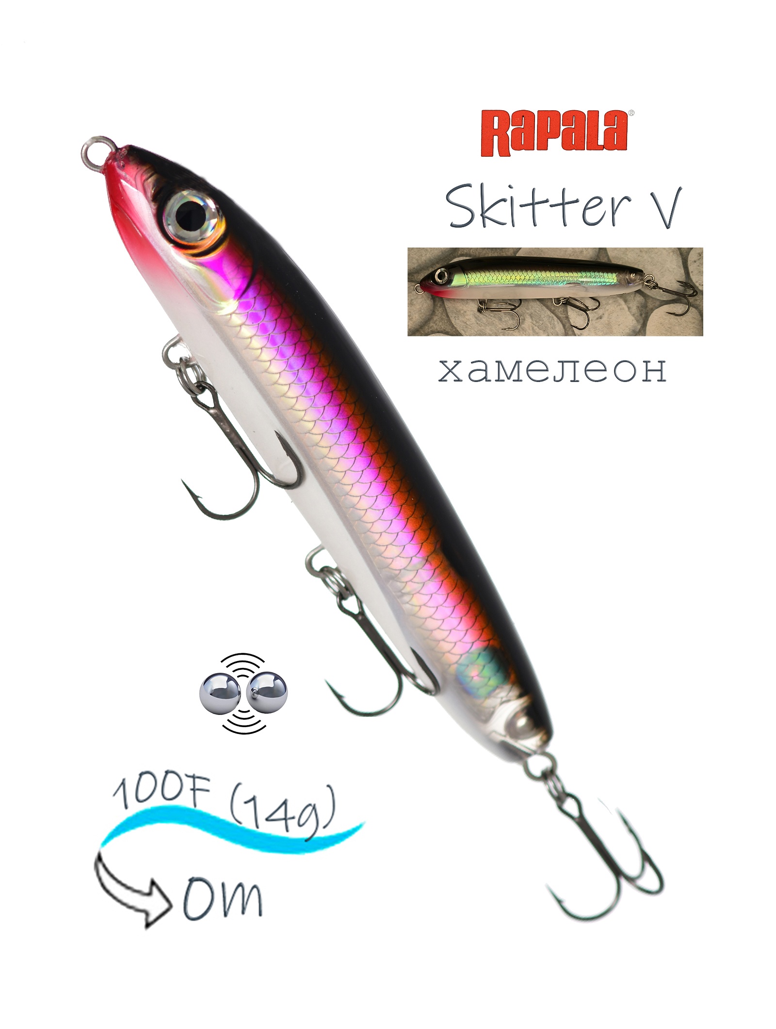 SKV10 S Skitter V - фото