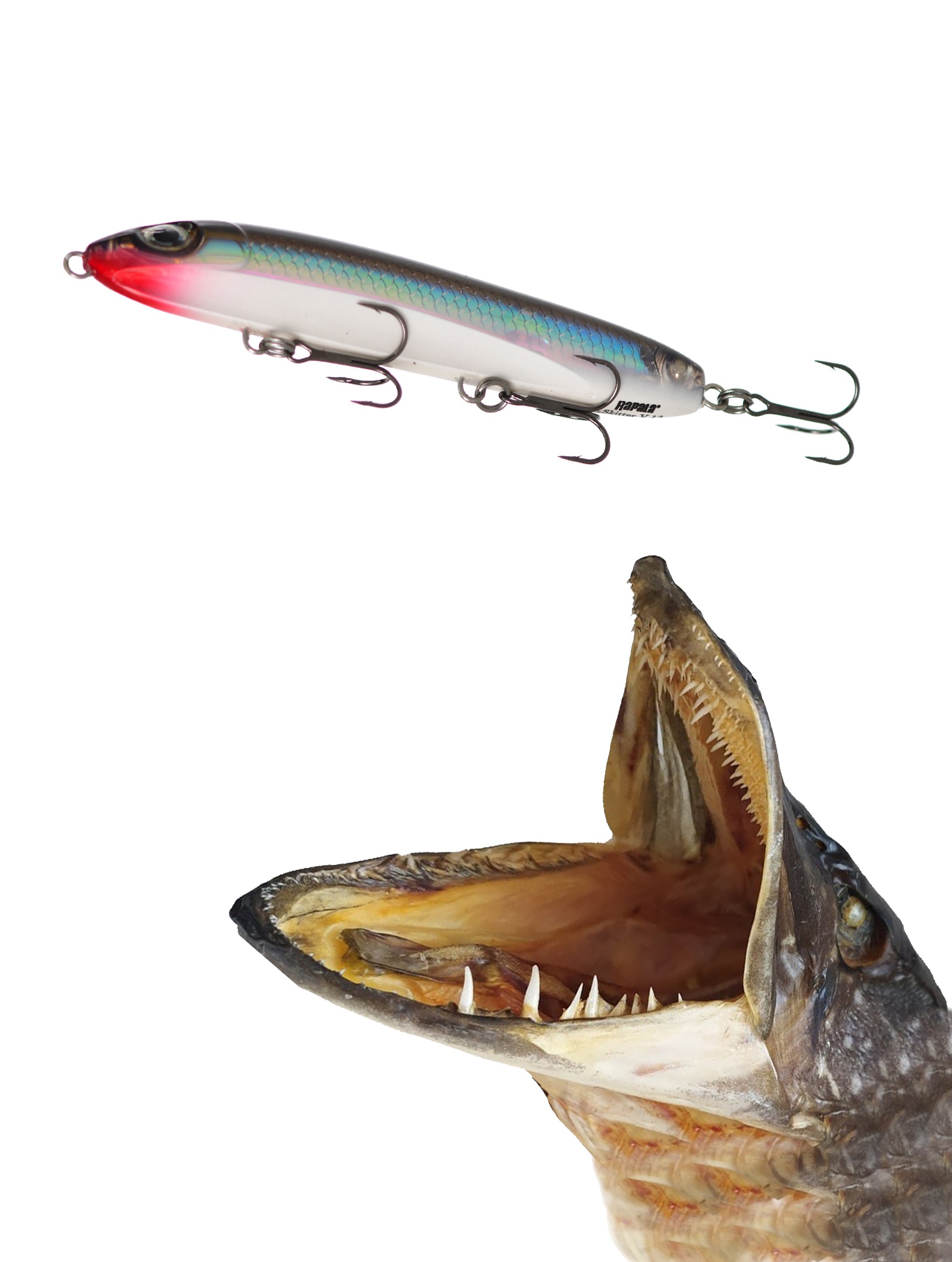 SKV13-S Skitter V - фото2