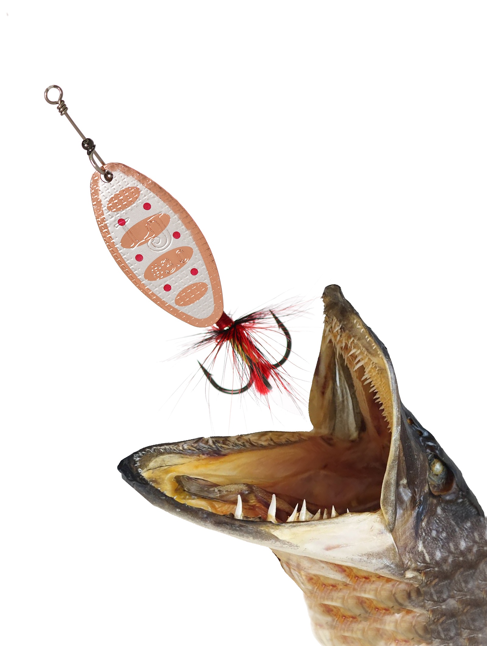 Shelt Blade 3-007 - фото3