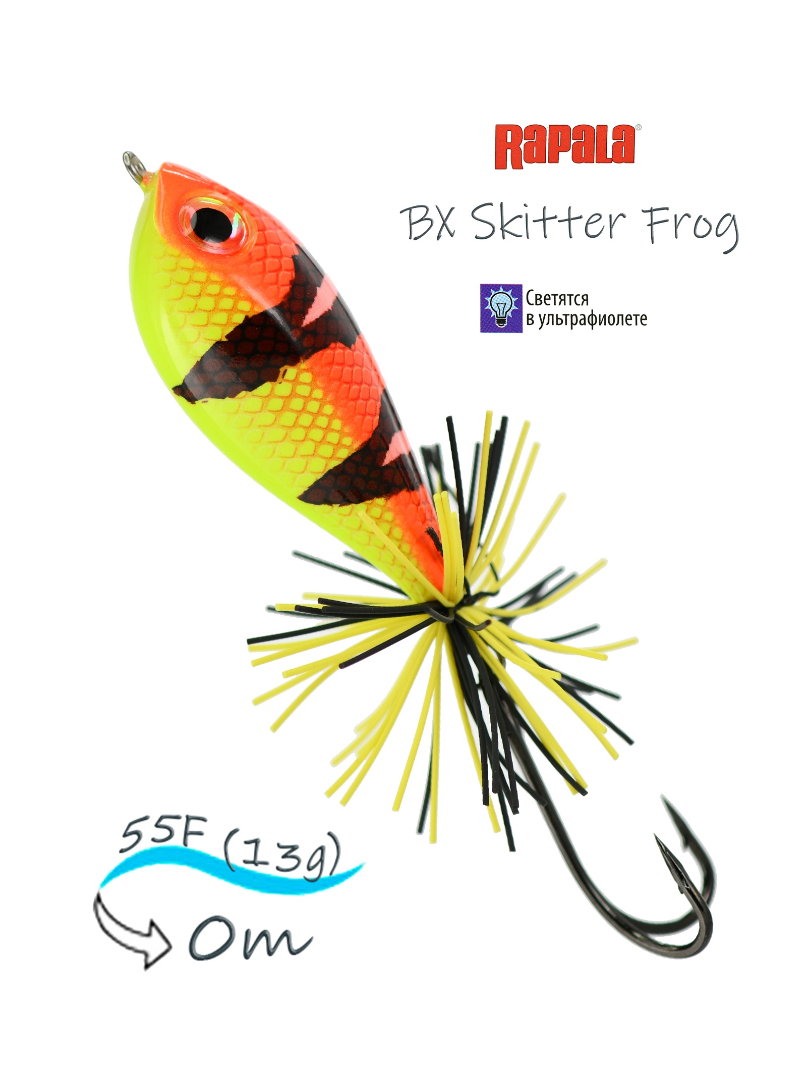 BXSF05-HSN BX Skitter Frog