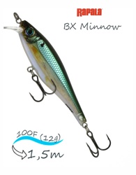 BXM10-BBH BX Minnow - фото