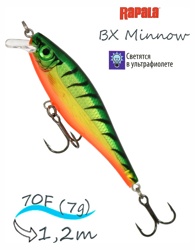 BXM07-FT BX Minnow - фото