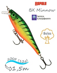 BXM10-FT BX Minnow - фото
