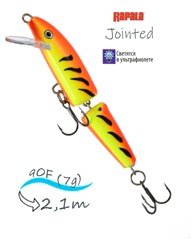 J09 HT Jointed - фото