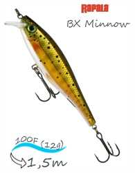 BXM10-TR BX Minnow - фото