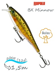 BXM10-TR BX Minnow - фото