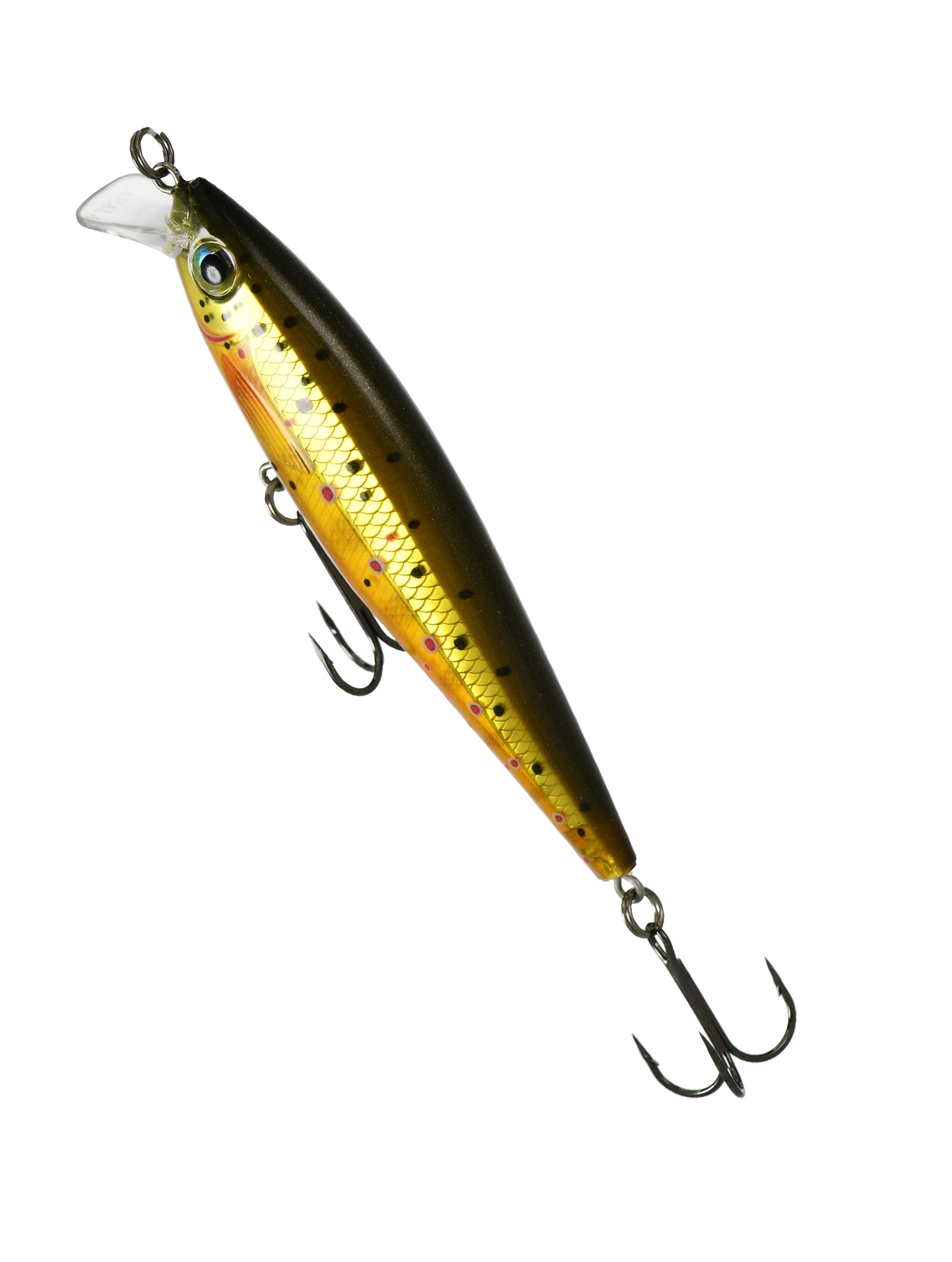 BXM10-TR BX Minnow