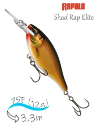 SRE75 GDGS Shad Rap Elite - фото