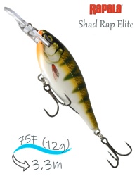 SRE75 GDYP Shad Rap Elite - фото