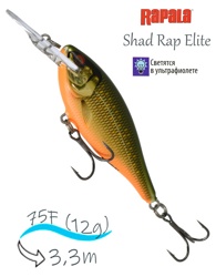 SRE75 GDSR Shad Rap Elite - фото